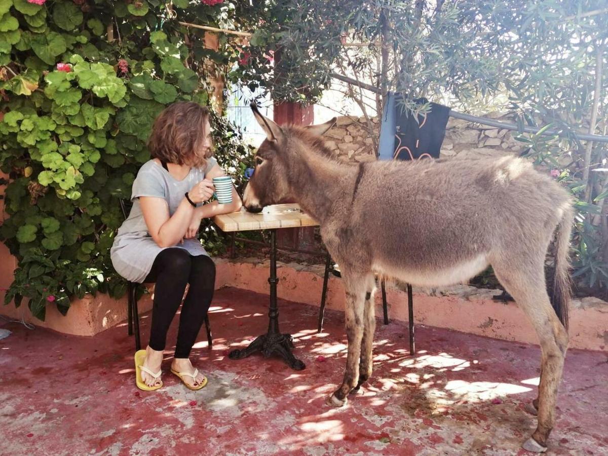 Surf Housemaroc Hostel Szavíra Kültér fotó