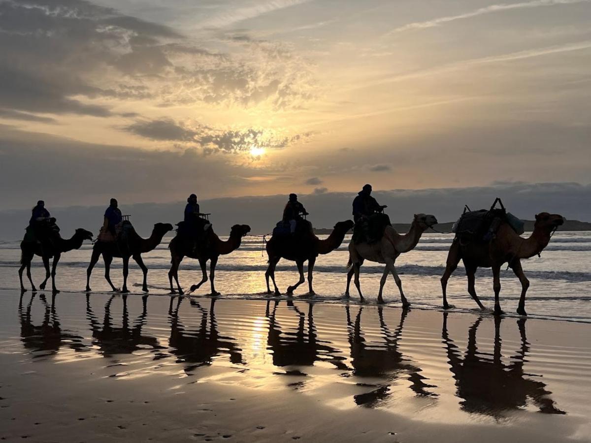 Surf Housemaroc Hostel Szavíra Kültér fotó