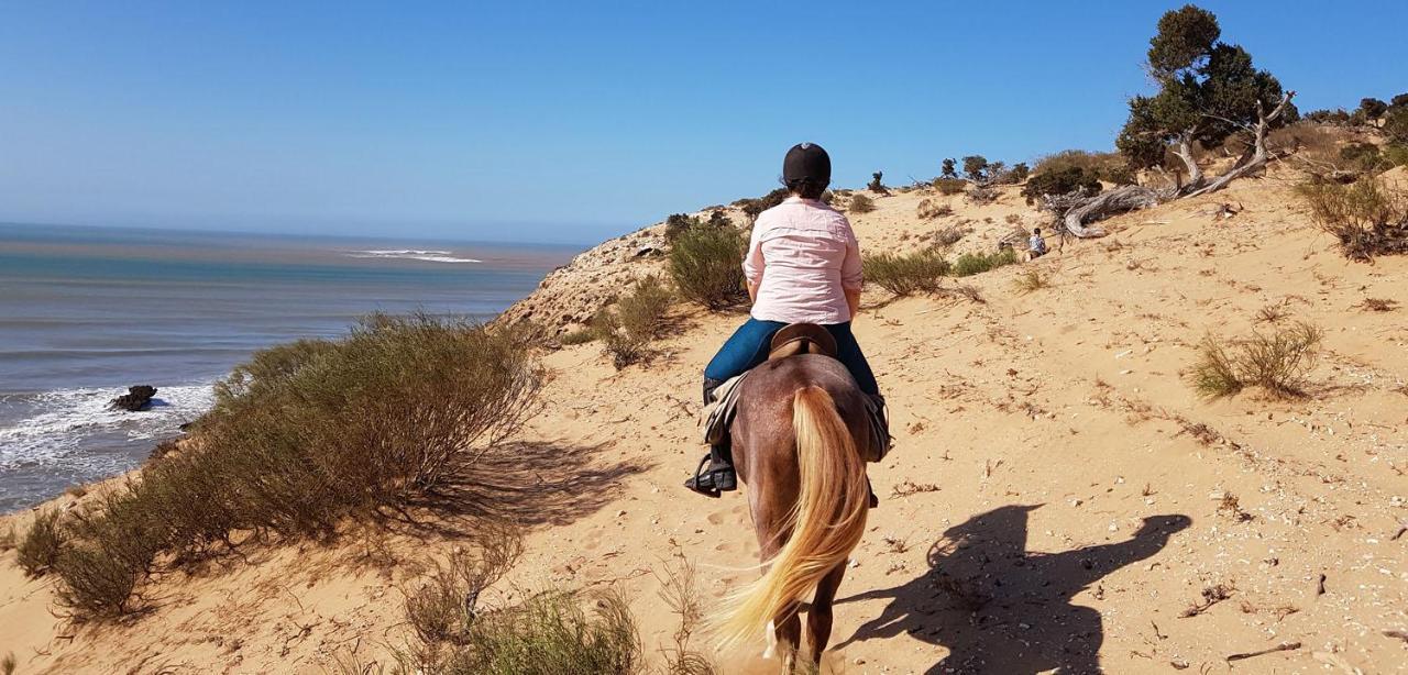 Surf Housemaroc Hostel Szavíra Kültér fotó