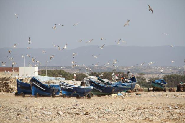 Surf Housemaroc Hostel Szavíra Kültér fotó